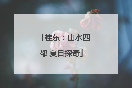桂东：山水四都 夏日探奇