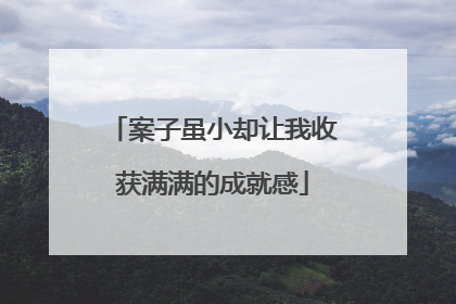 案子虽小却让我收获满满的成就感