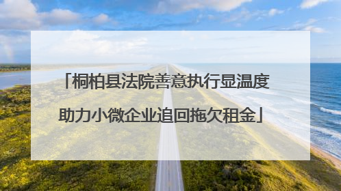 桐柏县法院善意执行显温度 助力小微企业追回拖欠租金