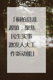 桐柏县淮源镇：聚焦民生实事 激发人大工作新动能