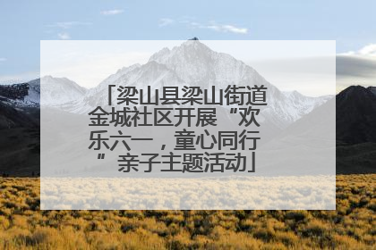 梁山县梁山街道金城社区开展“欢乐六一，童心同行”亲子主题活动