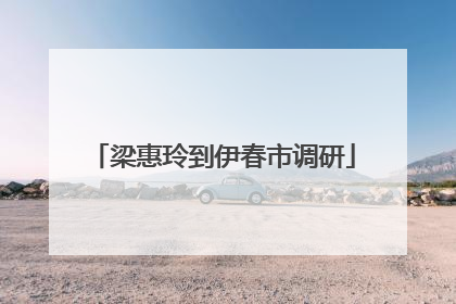 梁惠玲到伊春市调研
