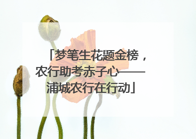 梦笔生花题金榜，农行助考赤子心——浦城农行在行动