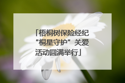 梧桐树保险经纪“桐星守护”关爱活动圆满举行