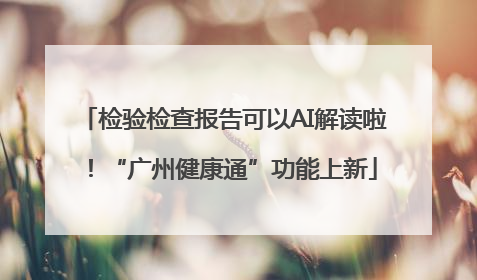 检验检查报告可以AI解读啦！“广州健康通”功能上新