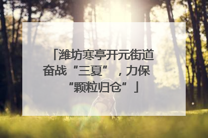 潍坊寒亭开元街道奋战“三夏”，力保“颗粒归仓”