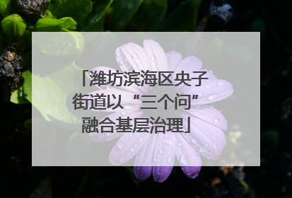 潍坊滨海区央子街道以“三个问”融合基层治理