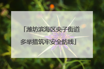 潍坊滨海区央子街道多举措筑牢安全防线