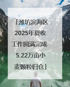潍坊滨海区：2025年夏收工作圆满完成 5.22万亩小麦颗粒归仓
