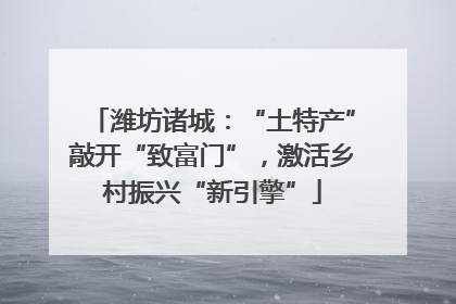 潍坊诸城：“土特产”敲开“致富门”，激活乡村振兴“新引擎”