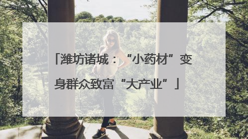 潍坊诸城：“小药材”变身群众致富“大产业”
