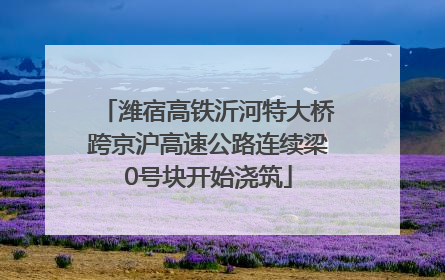潍宿高铁沂河特大桥跨京沪高速公路连续梁0号块开始浇筑