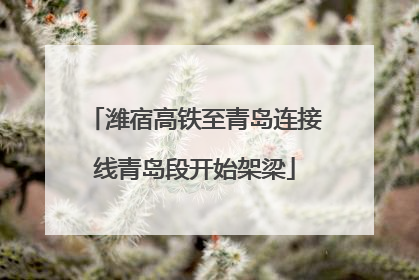 潍宿高铁至青岛连接线青岛段开始架梁