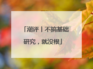 潮评丨不搞基础研究，就没根