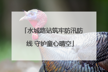 水城路站筑牢防汛防线 守护童心晴空