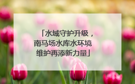 水域守护升级，南马场水库水环境维护再添新力量
