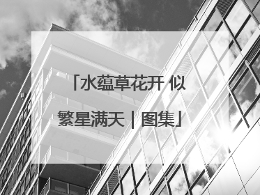 水蕴草花开 似繁星满天｜图集