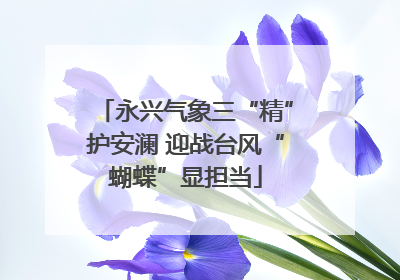 永兴气象三“精”护安澜 迎战台风“蝴蝶”显担当
