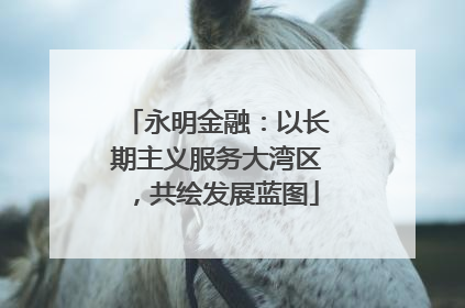 永明金融：以长期主义服务大湾区，共绘发展蓝图