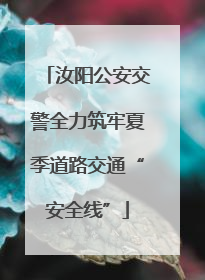 汝阳公安交警全力筑牢夏季道路交通“安全线”