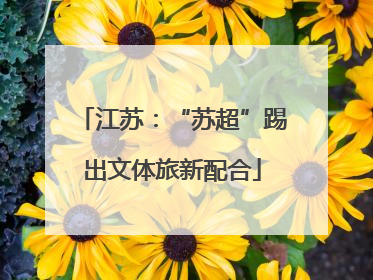 江苏：“苏超”踢出文体旅新配合