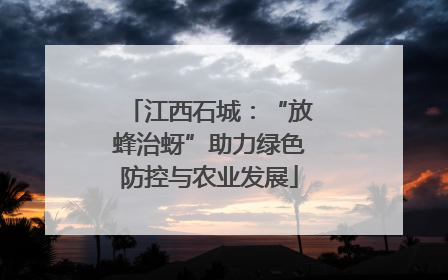 江西石城：“放蜂治蚜”助力绿色防控与农业发展
