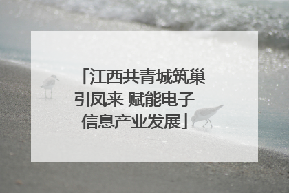 江西共青城筑巢引凤来 赋能电子信息产业发展
