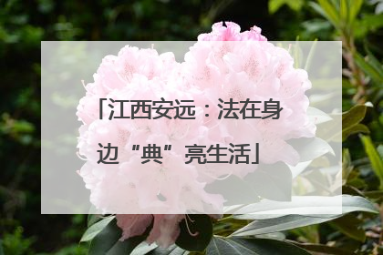 江西安远：法在身边“典”亮生活