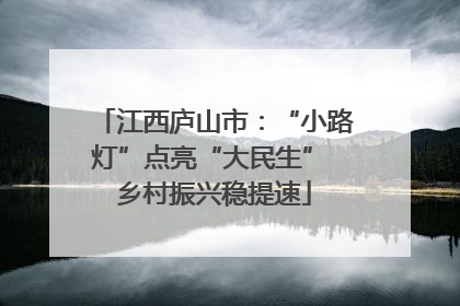 江西庐山市：“小路灯”点亮“大民生” 乡村振兴稳提速