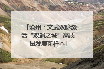 沧州：文武双脉激活“双遗之城”高质量发展新样本