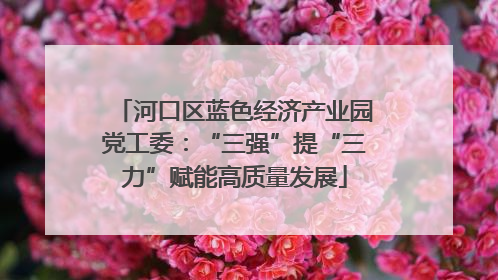 河口区蓝色经济产业园党工委：“三强”提“三力”赋能高质量发展