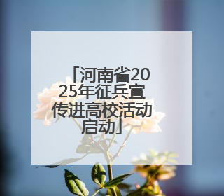 河南省2025年征兵宣传进高校活动启动