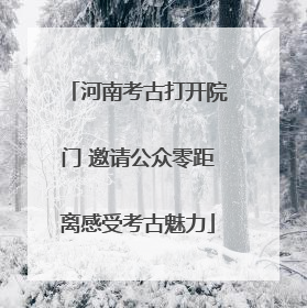 河南考古打开院门 邀请公众零距离感受考古魅力