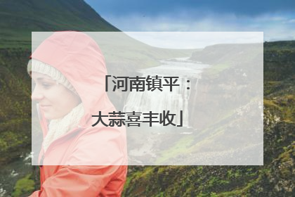 河南镇平：大蒜喜丰收