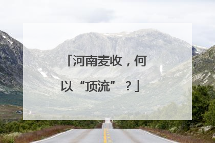 河南麦收，何以“顶流”？