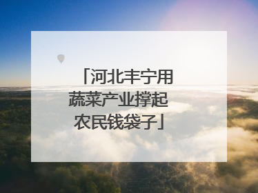 河北丰宁用蔬菜产业撑起农民钱袋子