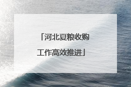 河北夏粮收购工作高效推进