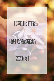 河北打造现代物流新高地