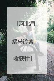 河北昌黎马铃薯收获忙