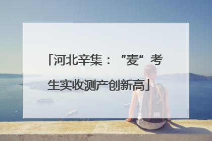 河北辛集：“麦”考生实收测产创新高