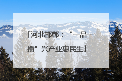 河北邯郸：“一品一播”兴产业惠民生