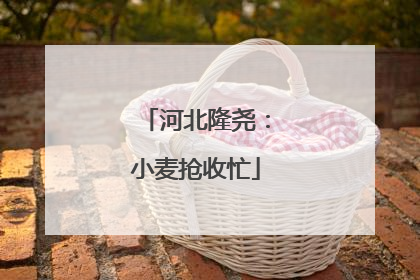 河北隆尧：小麦抢收忙