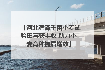 河北鸡泽千亩小麦试验田喜获丰收 助力小麦育种提质增效