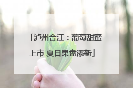 泸州合江：葡萄甜蜜上市 夏日果盘添新