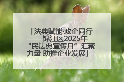 法典赋能·政企同行——锦江区2025年“民法典宣传月”汇聚力量 助推企业发展