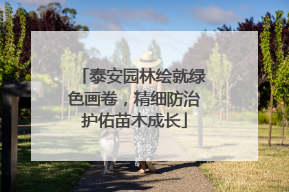 泰安园林绘就绿色画卷，精细防治护佑苗木成长