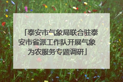 泰安市气象局联合驻泰安市省派工作队开展气象为农服务专题调研