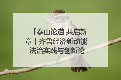 泰山论道 共启新章｜齐鲁经济新动能 法治实践与创新论坛成功举办