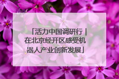 活力中国调研行｜在北京经开区感受机器人产业创新发展