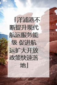 洋浦港不断提升现代航运服务能级 促进航运扩大开放政策快速落地